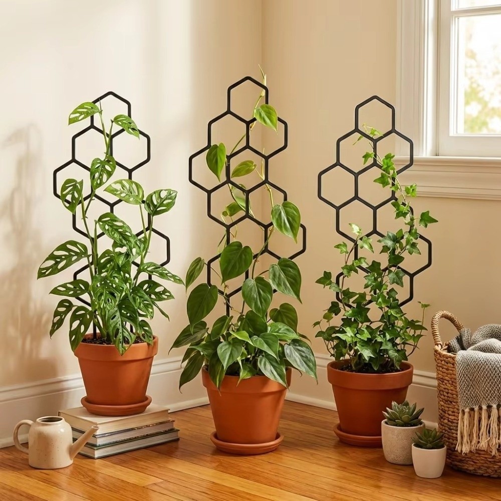 Sphagnum Moss Dry - Suporte Plástico para Plantas com Design