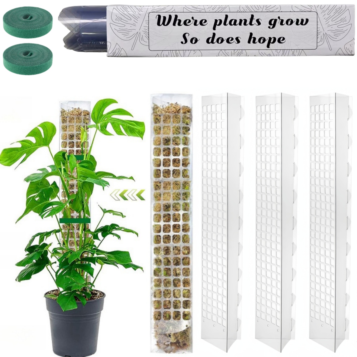 Pólo de musgo plástico planta  - Sphagnum Moss Dry avaliação e preço