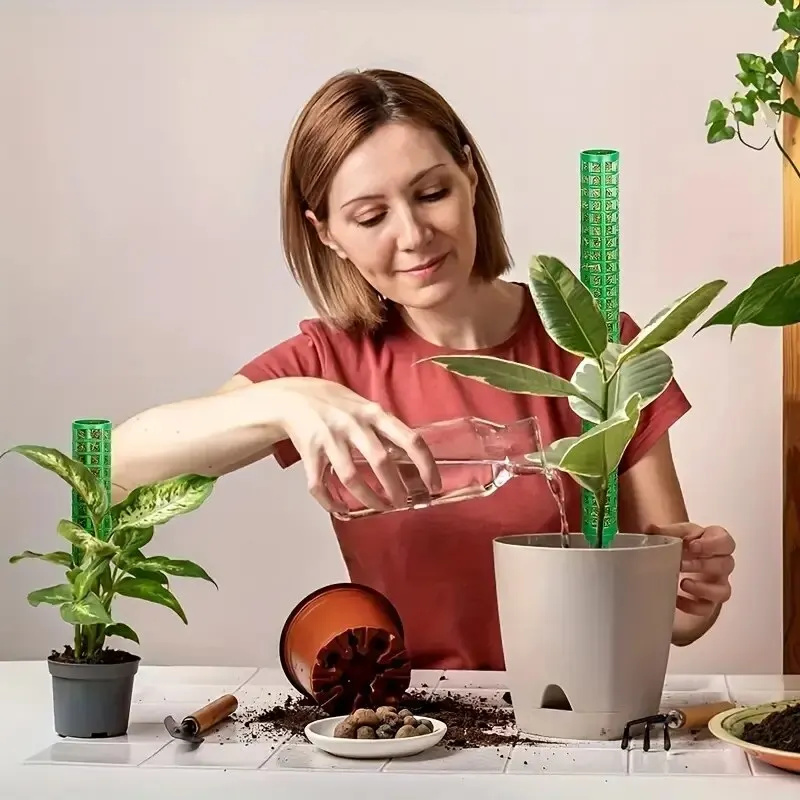 Estacas de Musgo Plásticas, Su - Sphagnum Moss Dry avaliação e preço
