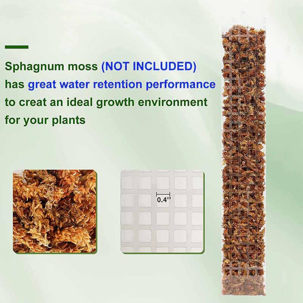 Suporte para Plantas Trepadeir - Sphagnum Moss Dry avaliação e preço