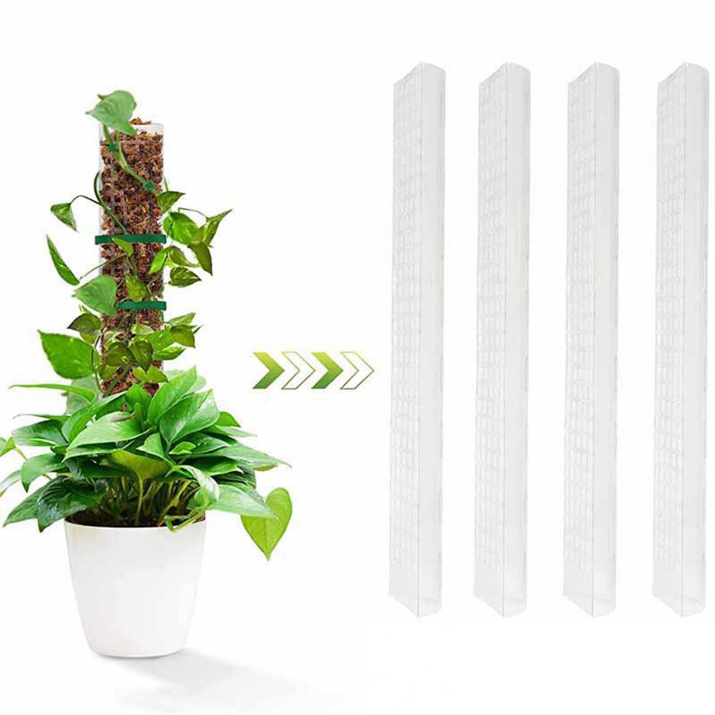 Suporte para Plantas Trepadeir - Sphagnum Moss Dry avaliação e preço